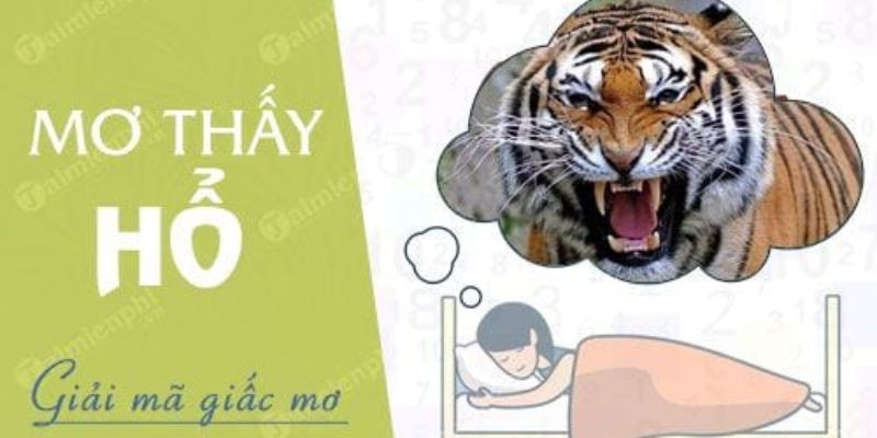 Mơ Thấy Hổ Đuổi: Số May Mắn Hay Điềm Báo?