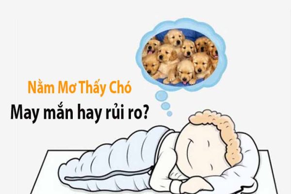 Nằm mơ thấy chó: May mắn hay rủi ro?
