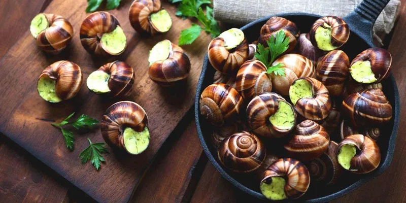 Mơ thấy ốc đánh số mấy? Giải mã giấc mơ thấy ốc và con số may mắn