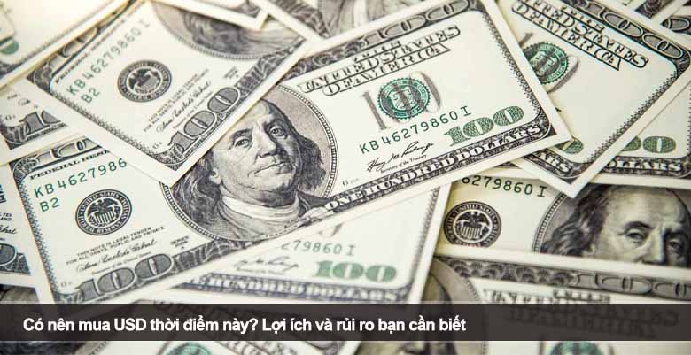 Có nên mua USD thời điểm này? Lợi ích và rủi ro bạn cần biết