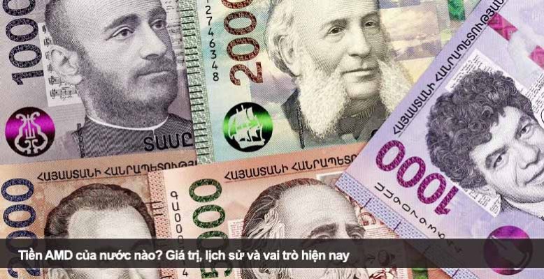 Tiền AMD của nước nào? Giá trị, lịch sử và vai trò hiện nay