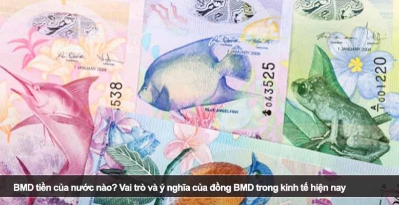 BMD tiền của nước nào? Vai trò và ý nghĩa của đồng BMD trong kinh tế hiện nay