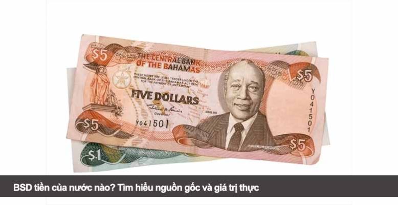 BSD tiền của nước nào? Tìm hiểu nguồn gốc và giá trị thực
