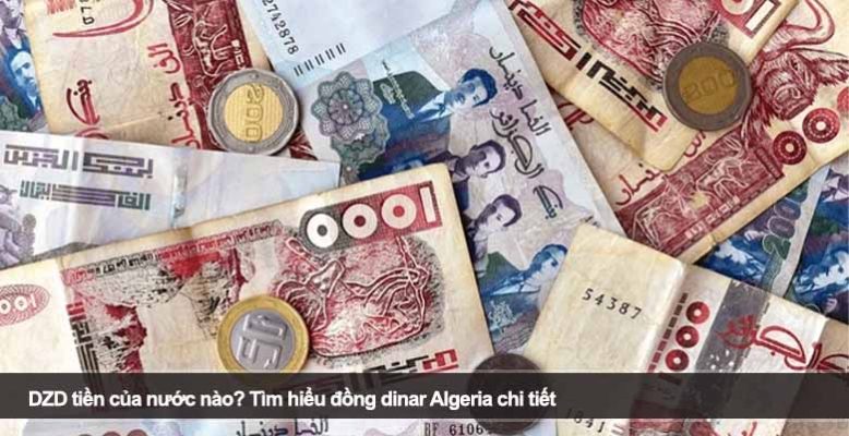 DZD tiền của nước nào? Tìm hiểu đồng dinar Algeria chi tiết