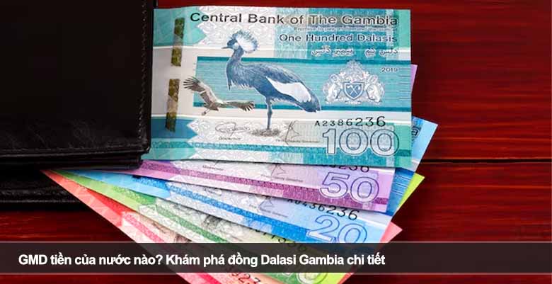 GMD tiền của nước nào? Khám phá đồng Dalasi Gambia chi tiết 