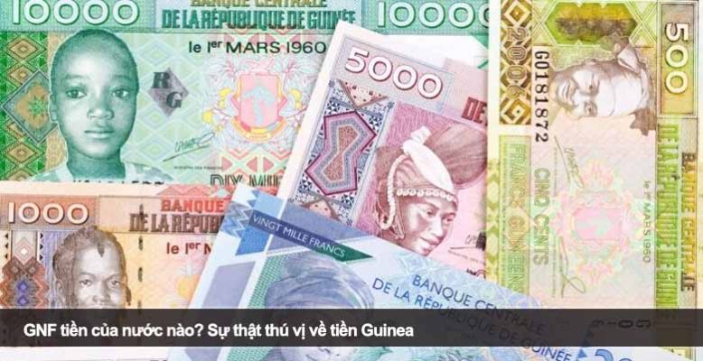 GNF tiền của nước nào? Sự thật thú vị về tiền Guinea