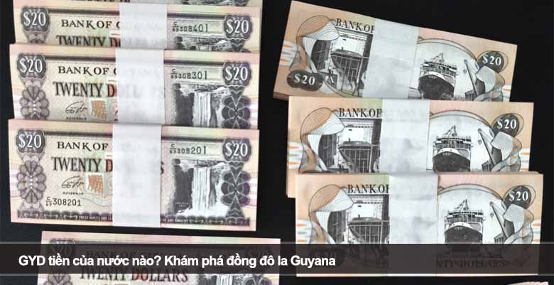 GYD tiền của nước nào? Khám phá đồng đô la Guyana