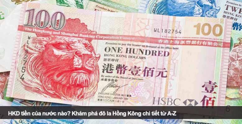 HKD tiền của nước nào? Khám phá đô la Hồng Kông chi tiết từ A-Z